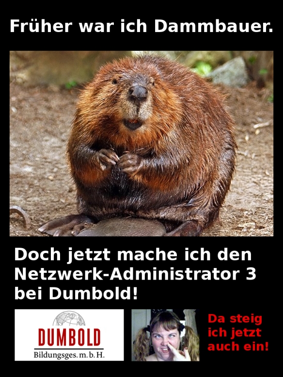 Dammbauer - Netzwerkadministrator